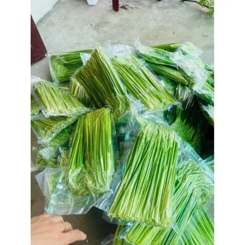 Đòng đòng lúa nếp hút chân không, Đòng tươi nguyên liệu tự nhiên hương vị truyền thống
