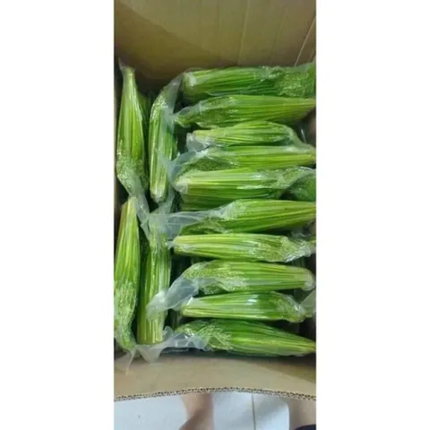 Đòng đòng lúa nếp hút chân không, Đòng tươi nguyên liệu tự nhiên hương vị truyền thống