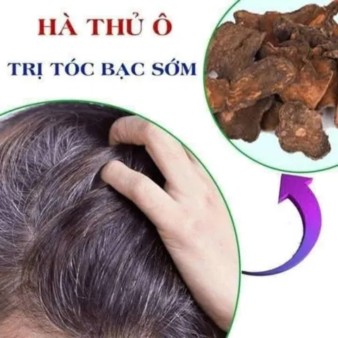 VIÊN HÀ THỦ Ô MẬT ONG MÈ ĐEN HỘP 500G