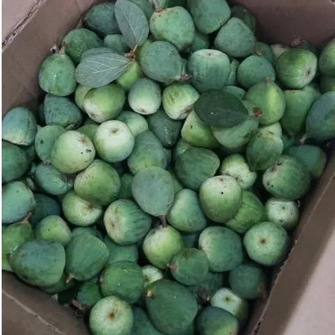 Quả Trâu Cổ(tươi) 1kg
