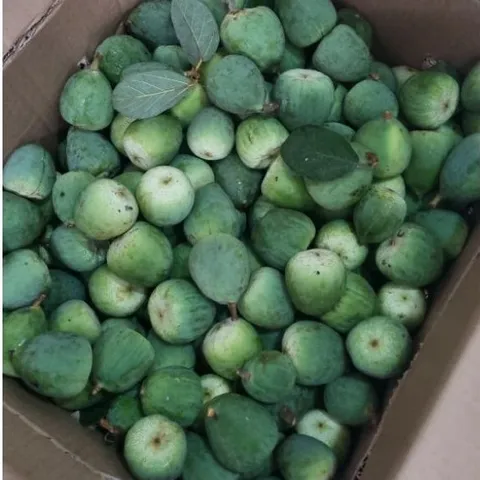 Quả Trâu Cổ(tươi) 1kg