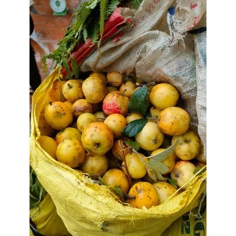 trà táo mèo rừng Yên Bái combo 10kg