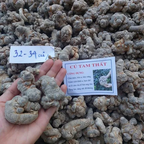 Củ Tam Thất Khô 32-34 Củ 1kg
