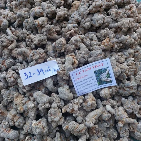 Củ Tam Thất Khô 32-34 Củ 1kg