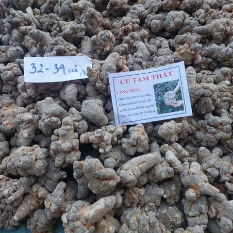 Củ Tam Thất Khô 32-34 Củ 1kg