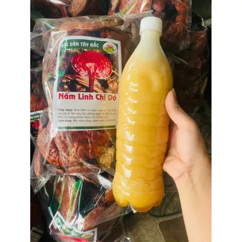 Nấm linh chi, Nấm nguyên cây thảo mộc truyền thống giúp thải độc tăng miễn dịch hỗ trợ tiêu hóa làm đẹp da 857509