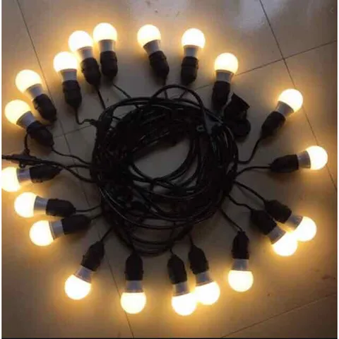 Bộ dây treo kín nước dài 10m 20 đuôi đèn e27