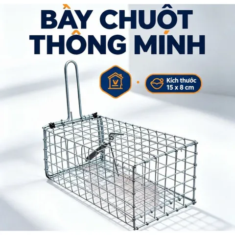 10 Bẫy chuột thông minh sử dụng gia đình