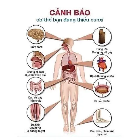 Viên uống bổ sung canxi hữu cơ CITRACAL Maximum Calcium citrate 280viên 859466