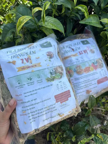 TRÀ SƠN MẬT HỒNG SÂM 7 VỊ – ĐẶC SẢN SAPA