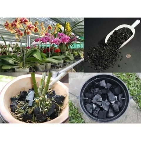 5 Kg than củi, than hoa nướng thịt, than củi gỗ