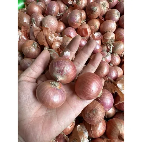 Hành khô - Hành khô 1 nhánh, hành cô đơn (túi 1kg)