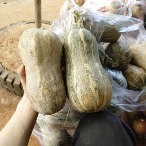 [Giao Hà Nội]  5 Kg Bí Đỏ Hồ Lô