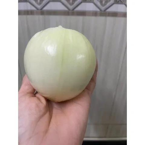5kg Hành tây nguyên củ trắng, sạch, tươi mới