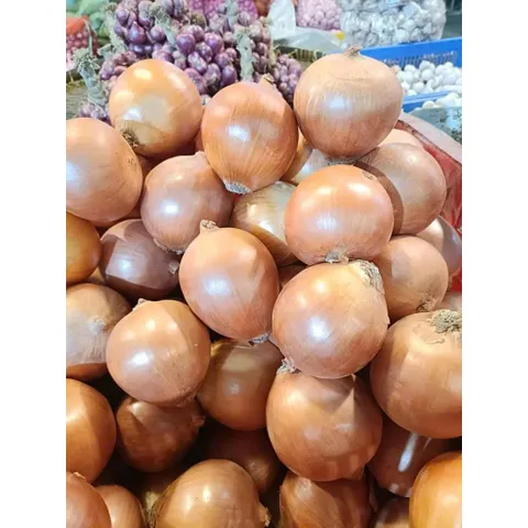 5kg Hành tây nguyên củ trắng, sạch, tươi mới