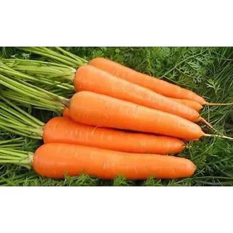 2kg Cà Rốt tươi ngon, rau củ quả tươi. trồng tự nhiên