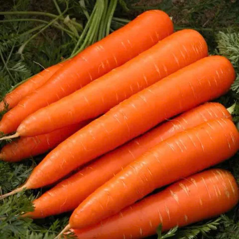 2kg Cà Rốt tươi ngon, rau củ quả tươi. trồng tự nhiên