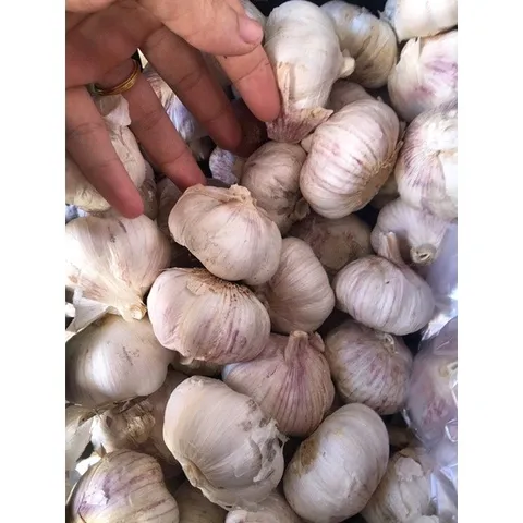 Tỏi khô Loại 1 - Tỏi Thơm Ngon Túi 1 Kg