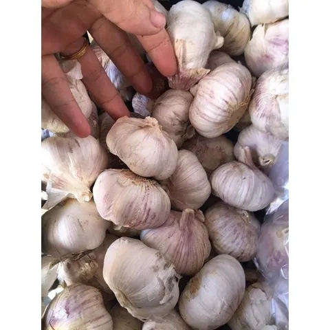 Tỏi khô Loại 1 - Tỏi Thơm Ngon Túi 1 Kg