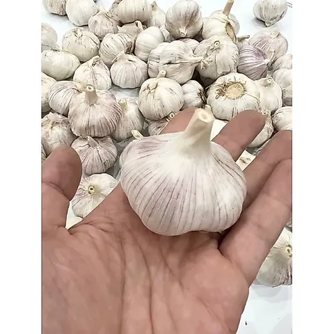 Củ Tỏi To Chắc Loại 1 - Tỏi Thơm Ngon Túi 1 Kg 860312