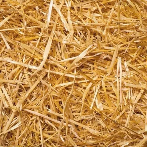 Trấu khô sống túi 1kg
