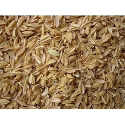Trấu khô sống túi 1kg