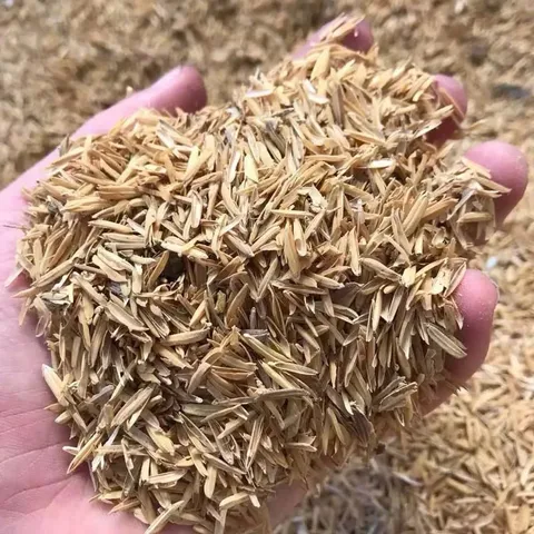 Trấu khô sống túi 1kg