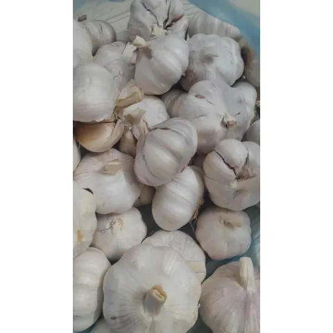 1kg tỏi khô củ to chắc, tỏi nhánh thơm ngon