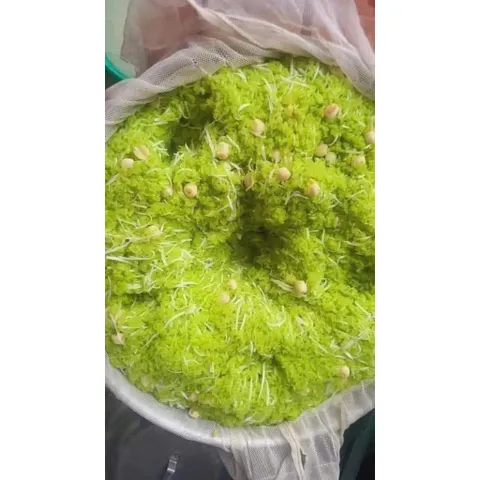 Cốm non thơm - Cốm xanh hàng ngon chất lượng túi 1kg