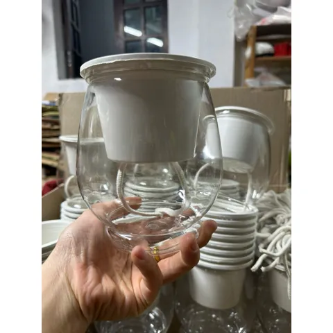 Chậu nhựa thuỷ sinh tự tưới tiện lợi cho cây cảnh - Bình thủy sinh trồng cây 860420