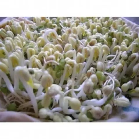 1kg Đậu xanh (đỗ xanh) nguyên vỏ