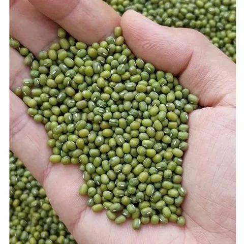 1kg  đỗ xanh hạt nhỏ làm giá đỗ