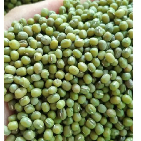 1kg  đỗ xanh hạt nhỏ làm giá đỗ