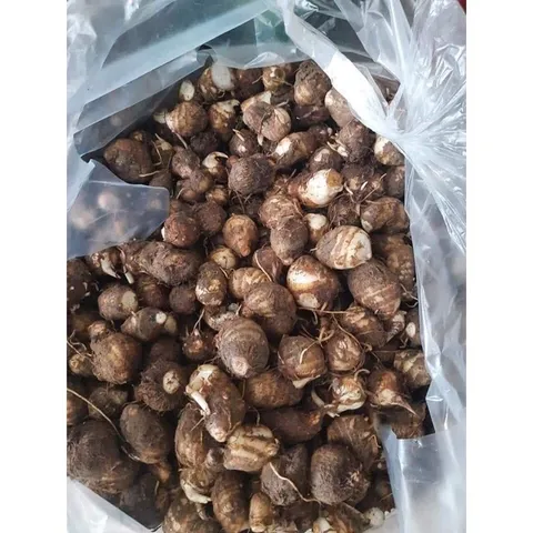 Khoai sọ loại ngon, bở và rất dẻo( đóng gói 1kg)