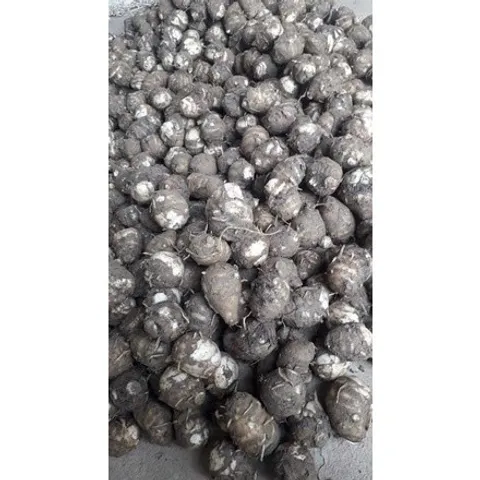 1Kg Khoai sọ/ khoai môn ( củ nhỏ )bở, dẻo thơm ngon- hàng chất lượng