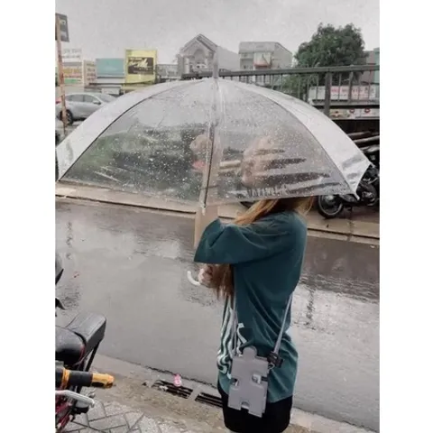Ô trong suốt chụp ảnh sống ảo - Ô trong suốt hottrend