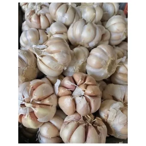 Tỏi To chắc loại 1- Tỏi thơm ngon loại 1kg