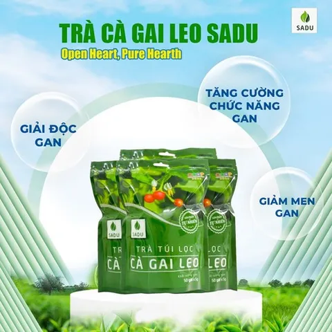 Trà Túi Lọc Cà Gai Leo Nguyên Chất Sadu 250g , Trà Thảo Mộc Hỗ Trợ Bảo Vệ Gan,Thanh Lọc Cơ Thể