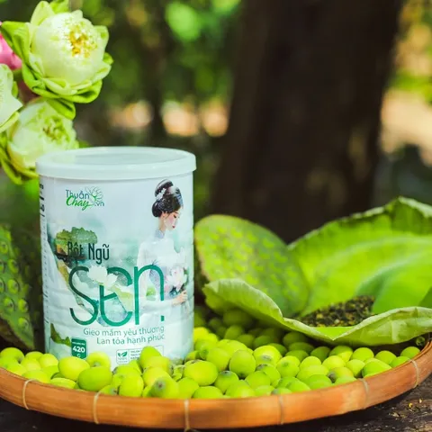 Bột Ngũ Sen Thuần Chay 420g - Ngũ Sen Tự Nhiên Thành Phần Từ Sen - Thơm Dịu Tự Nhiên Dễ Pha Dễ Uống