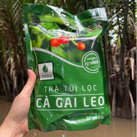 Trà mát gan cà gai leo Sadu NGUYÊN CHẤT,1 túi 250 gram gồm 50 túi lọc