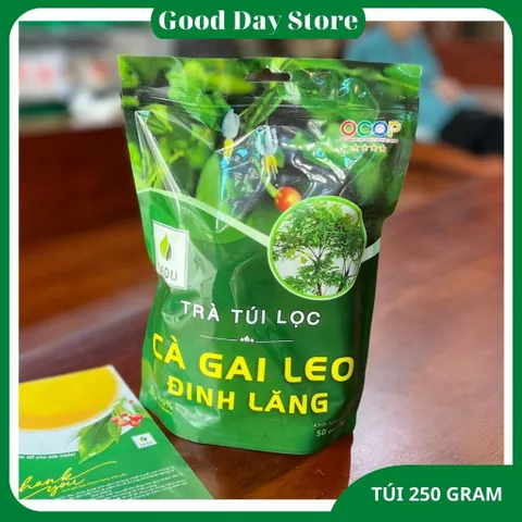 Trà Túi Lọc Cà Gai Leo Đinh Lăng SADU 250g 50 Túi Lọc | Trà Thảo Mộc Thiên Nhiên Tiện Lợi