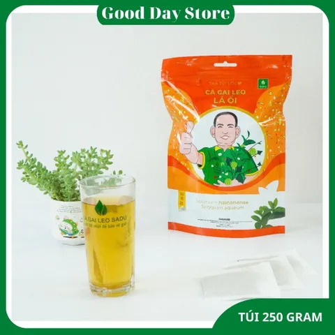 COMBO 4 TÚI Trà cà gai leo LÁ ỔI Sadu hỗ trợ giảm cân,tiêu hóa,dạ dày,tim mạch,tiêu hóa