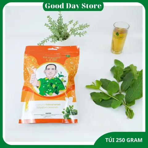 COMBO 4 TÚI Trà cà gai leo LÁ ỔI Sadu hỗ trợ giảm cân,tiêu hóa,dạ dày,tim mạch,tiêu hóa