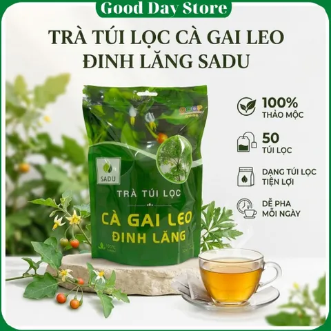 COMBO 2 TÚI Trà Túi Lọc SADU Cà Gai Leo Đinh Lăng 250g | Hộp 50 Túi Lọc Thảo Mộc Thiên Nhiên