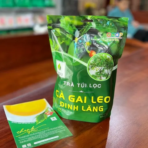 COMBO 2 TÚI Trà Túi Lọc SADU Cà Gai Leo Đinh Lăng 250g | Hộp 50 Túi Lọc Thảo Mộc Thiên Nhiên