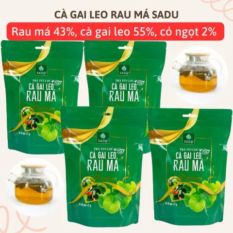 1KG Trà Túi Lọc Cà Gai Leo Rau Má SADU 50 Túi - Thanh Nhiệt, Giải Độc, Mát Gan