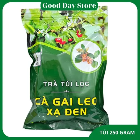 1 KG Trà cà gai leo Xạ Đen sadu gói 250g,Trà túi lọc tiện lợi khi sử dụng