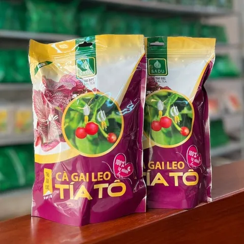 500 GRAM Trà cà gai leo TÍA TÔ Sadu ,Trà dạng túi lọc tiện lợi khi sử dụng hàng ngày