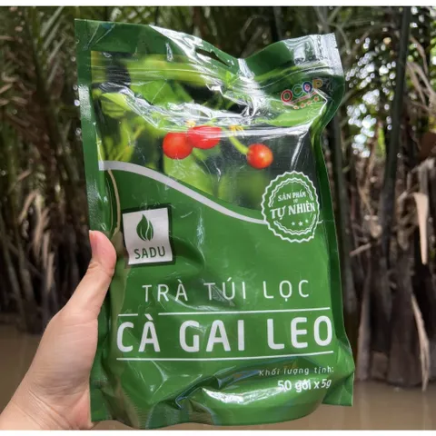 COMBO 4 TÚI Trà mát gan cà gai leo Sadu NGUYÊN CHẤT , Túi Lọc Tiện Lợi, Thảo Mộc Tự Nhiên