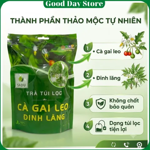 COMBO 4 TÚI Trà Cà Gai Leo Đinh Lăng SADU Túi Lọc | Trà Túi Lọc Thảo Mộc Dễ Pha Dùng Hằng Ngày